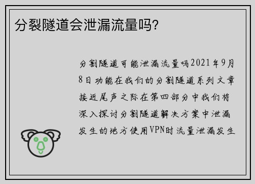 分裂隧道会泄漏流量吗？