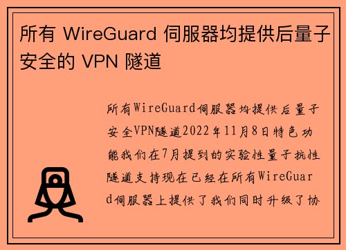 所有 WireGuard 伺服器均提供后量子安全的 VPN 隧道 